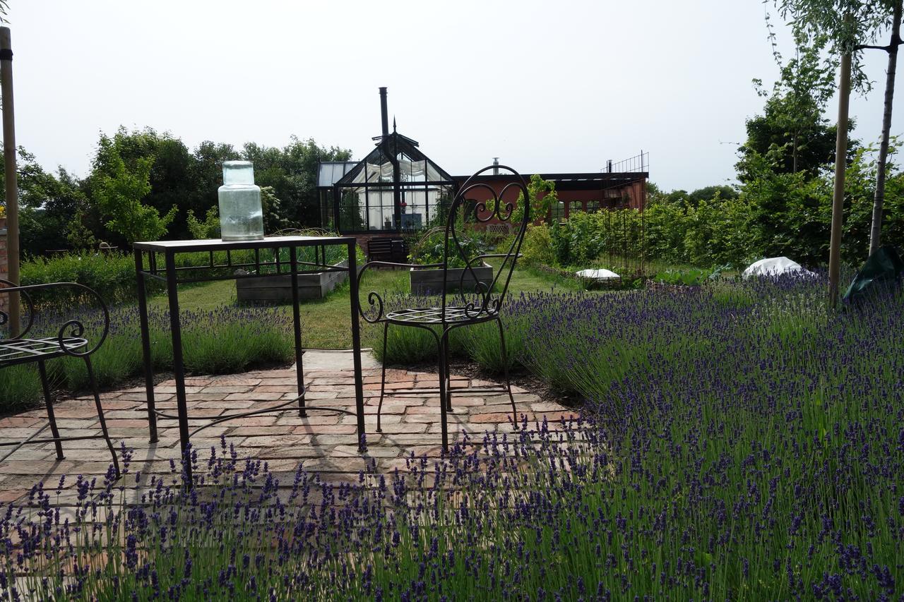 Villa Gina Oesterlen Sankt Olof 외부 사진